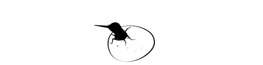 animation